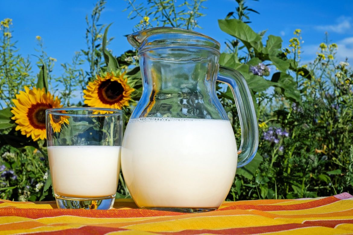 La leche: composición, propiedades y beneficios nutricionales